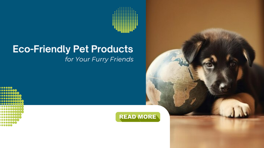 eco-friendly-pet-products