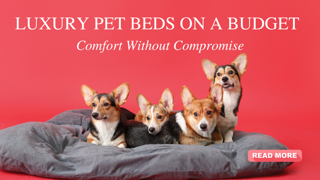 luxury-pet-beds