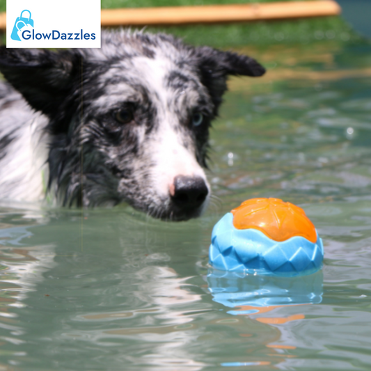 interactive-dog-ball-new