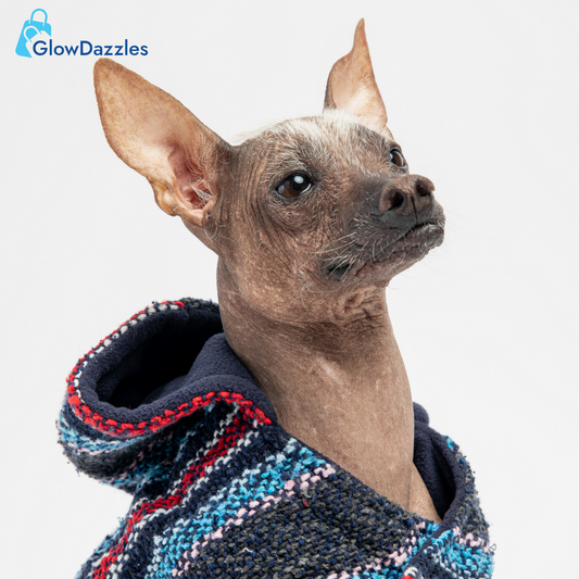 old-navy-dog-sweater