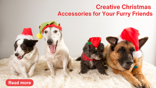 Creative Christmas Accessories for Your Furry Friends