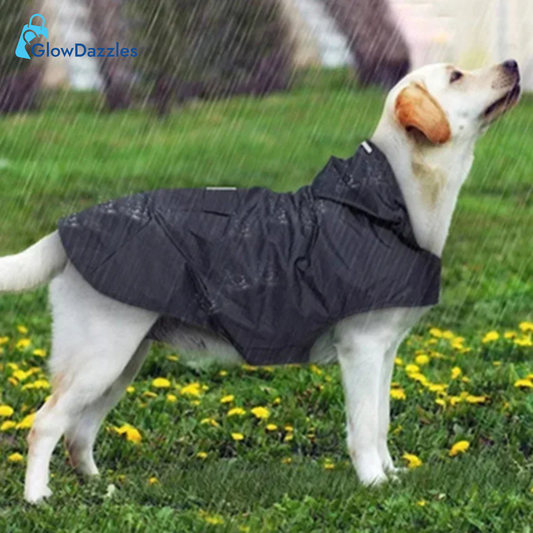 black-dog-raincoat