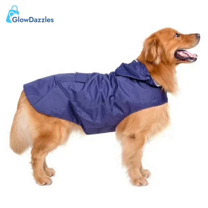 blue-dog-raincoat