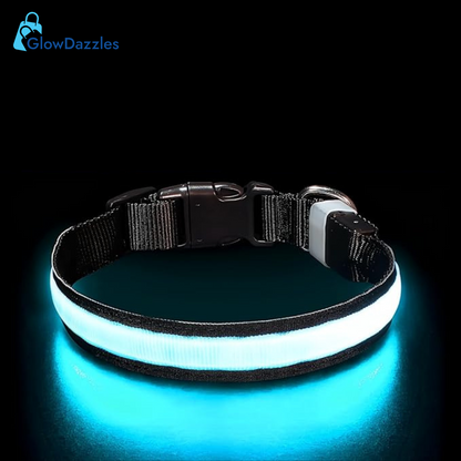 blue-led-dog-collar