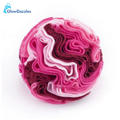 Colourful Sniffing Ball Toy for Dog