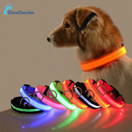 led-dog-collar