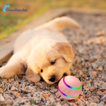 light-up-ball-for-dogs