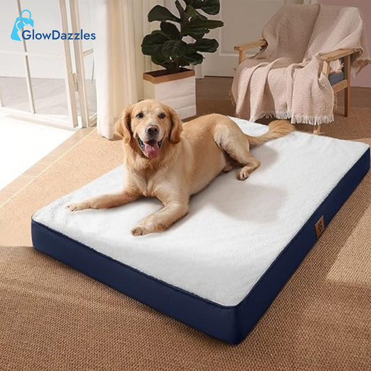 orthopedic-dog-bed