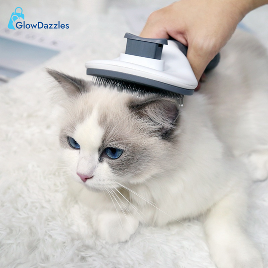 pet-hair-remover-brush