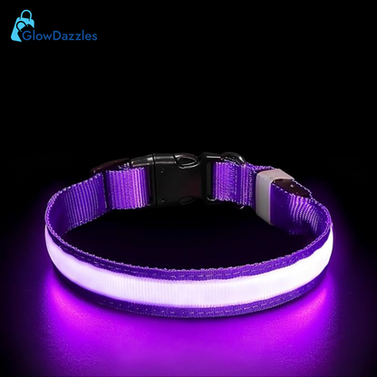 purple-led-dog-collar