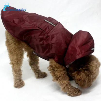 red-dog-raincoat