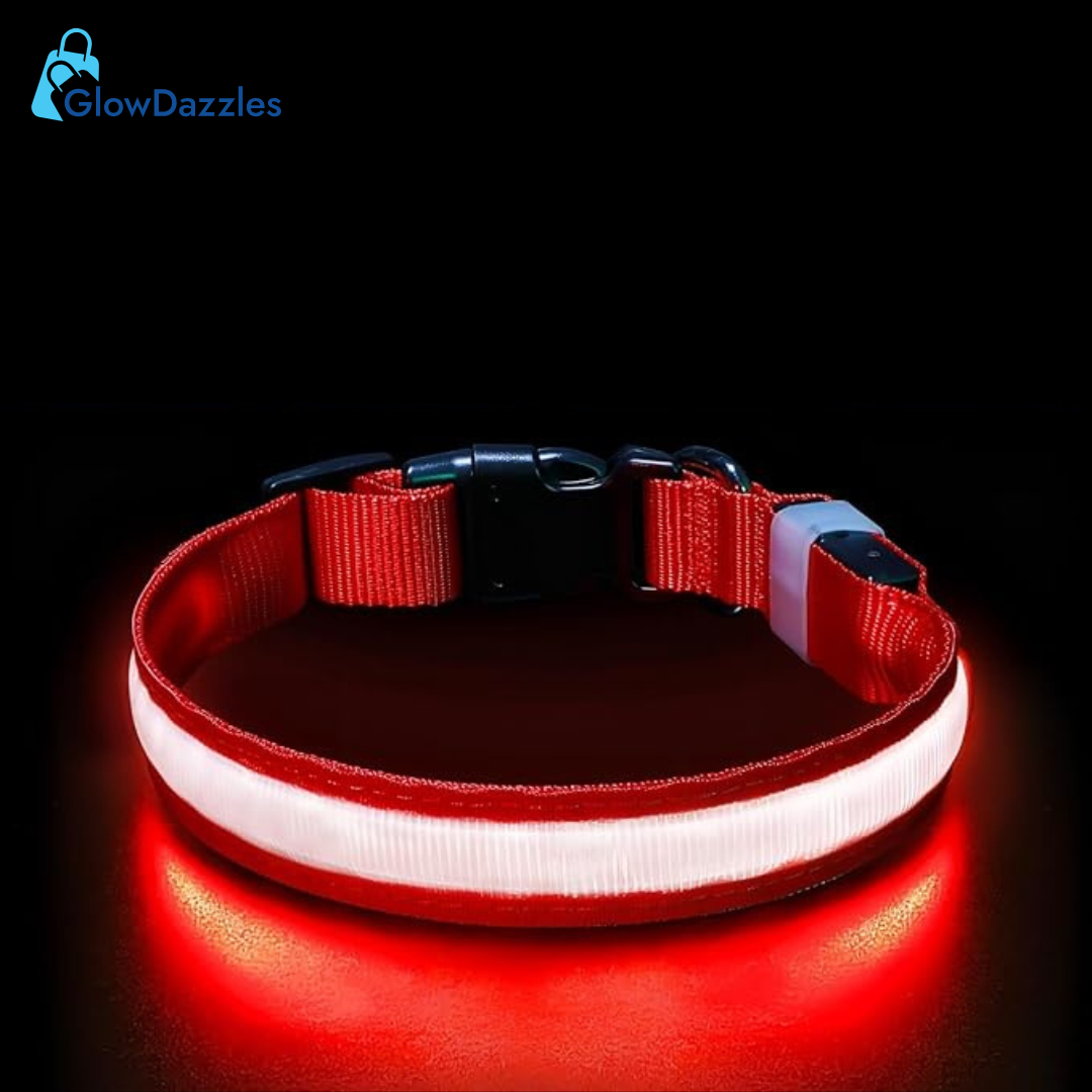 red-led-dog-collar