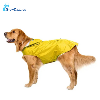 yellow-dog-raincoat